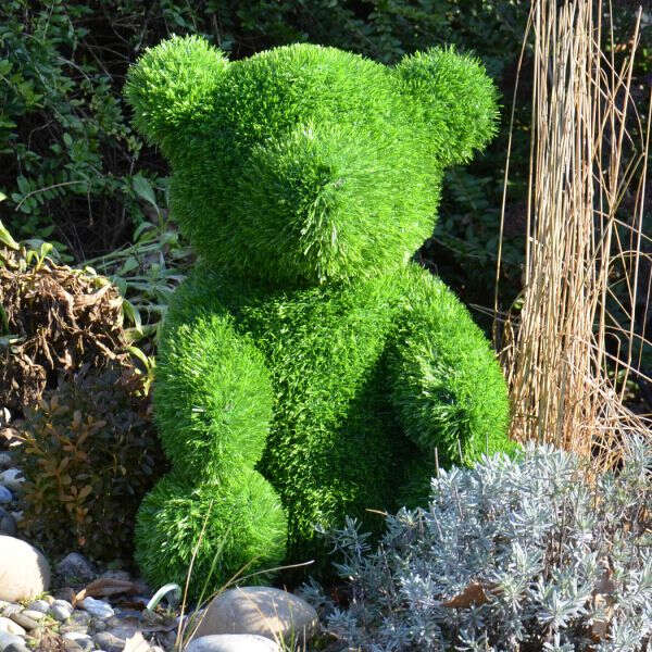 ANIPLANTS Grasfigur Bär